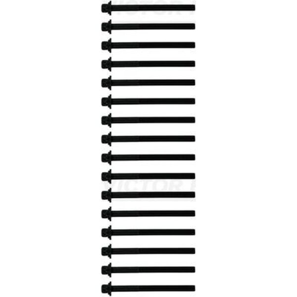 VICTOR REINZ 14-10597-01 Zylinderkopfschraubensatz