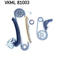 SKF VKML 81003 Steuerkettensatz