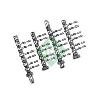 Schaeffler INA 428 0038 30 Nockenwellensatz