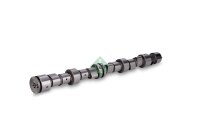 Schaeffler INA 428 0096 10 Nockenwelle
