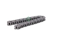 Schaeffler INA 553 0289 10 Steuerkette