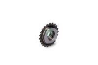 Schaeffler INA 554 0070 10 Zahnrad, Ausgleichswelle