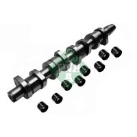 Schaeffler INA 428 0039 30 Nockenwellensatz