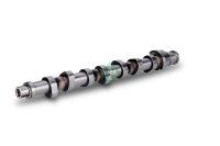 Schaeffler INA 428 0161 10 Nockenwelle