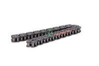 Schaeffler INA 553 0246 10 Steuerkette