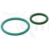 ELRING 455.290 Dichtungssatz, Einspritzpumpe