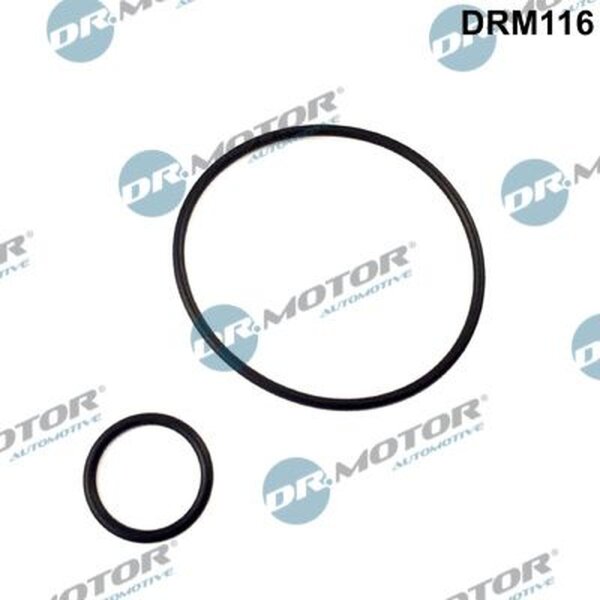 Dr.Motor Automotive DRM116 Dichtungssatz, Unterdruckpumpe