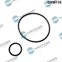 Dr.Motor Automotive DRM116 Dichtungssatz, Unterdruckpumpe