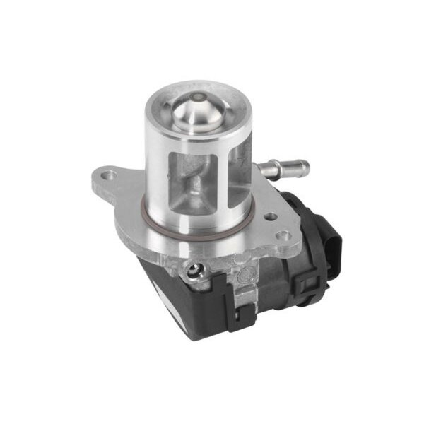 BorgWarner 710095D AGR-Ventil