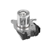 BorgWarner 710095D AGR-Ventil
