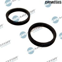 Dr.Motor Automotive DRM058S Dichtungssatz,...