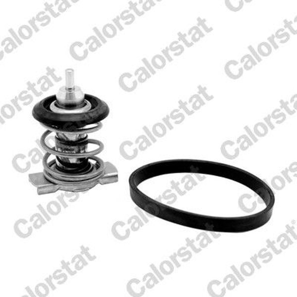 CALORSTAT by Vernet TH9200.88J Thermostat, Kühlmittel