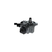 BOSCH 0 445 010 848 Hochdruckpumpe