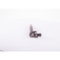 BOSCH 0 445 116 073 Einspritzdüse