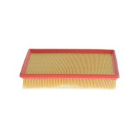 BOSCH F 026 400 434 Luftfilter