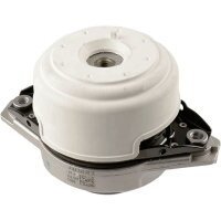 LEMFÖRDER 38346 01 Lagerung, Motor