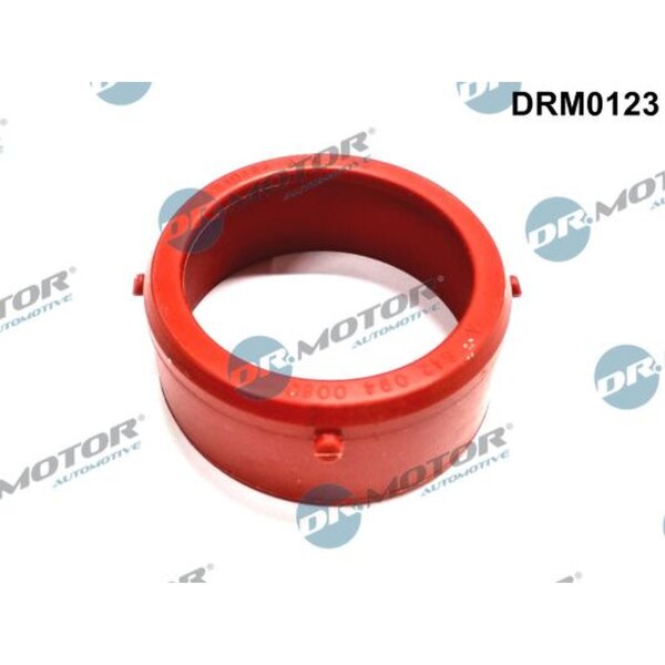 Dr.Motor Automotive DRM0123 Dichtung, Lader