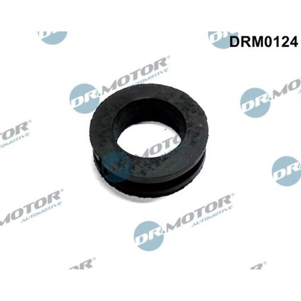 Dr.Motor Automotive DRM0124 Dichtung, Kurbelgehäuseentlüftung