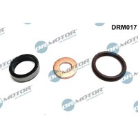 Dr.Motor Automotive DRM017 Dichtungssatz, Einspritzdüse
