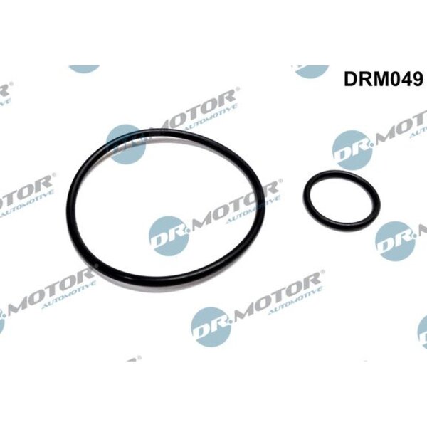 Dr.Motor Automotive DRM049 Dichtungssatz, Unterdruckpumpe