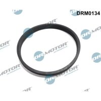 Dr.Motor Automotive DRM0134 Dichtung, Drosselklappenstutzen