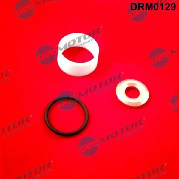 Dr.Motor Automotive DRM0129 Dichtungssatz, Einspritzdüse