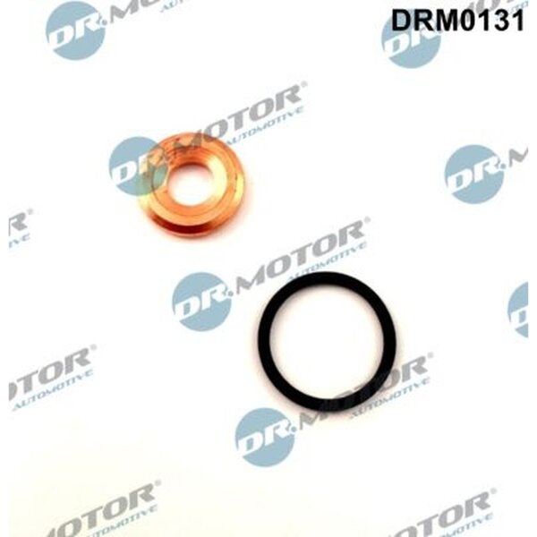 Dr.Motor Automotive DRM0131 Dichtungssatz, Einspritzdüse