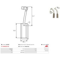 AS-PL AB1001 Kohlebürste, Generator