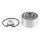 SNR R180.13 Radlagersatz