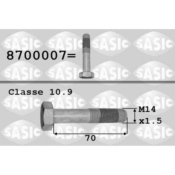 SASIC 8700007 Riemenscheibenschraube