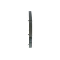 BOSCH 1 987 945 725 Keilrippenriemen
