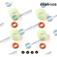 Dr.Motor Automotive DRM0143S Dichtungssatz,...