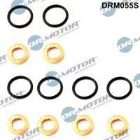 Dr.Motor Automotive DRM055S Dichtungssatz,...