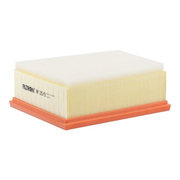 FILTRON AP 135/9 Luftfilter