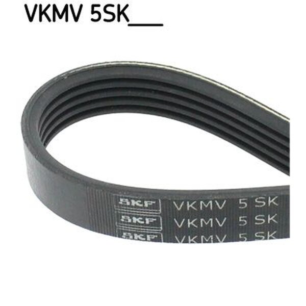 SKF VKMV 5SK748 Keilrippenriemen