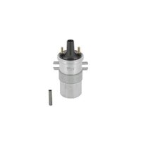 BorgWarner (BERU) ZS546 Zündspule