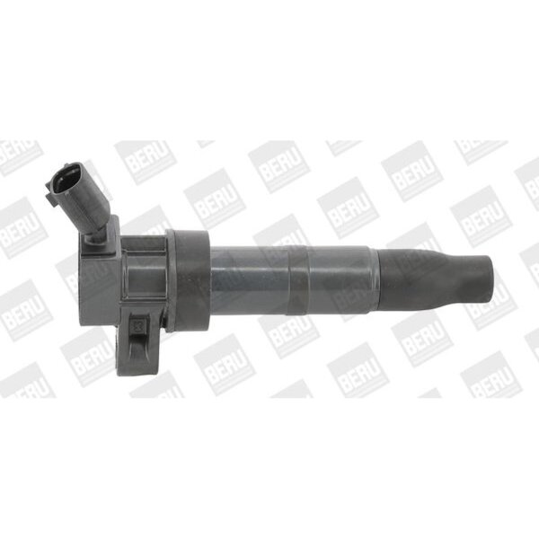 BorgWarner (BERU) ZS548 Zündspule