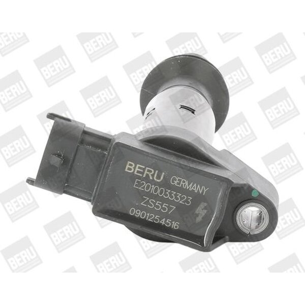 BorgWarner (BERU) ZS557 Zündspule