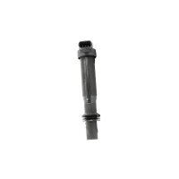 BorgWarner (BERU) ZS557 Zündspule