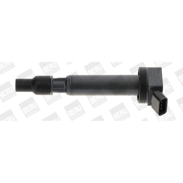 BorgWarner (BERU) ZSE192 Zündspule
