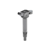 BorgWarner (BERU) ZSE192 Zündspule