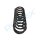 PROFLEX AUTOMOTIVE PX1-0469 Fahrwerksfeder