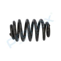 PROFLEX AUTOMOTIVE PX1-0496 Fahrwerksfeder