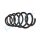 PROFLEX AUTOMOTIVE PX1-0501 Fahrwerksfeder
