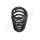 PROFLEX AUTOMOTIVE PX1-0589 Fahrwerksfeder