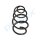 PROFLEX AUTOMOTIVE PX1-0807 Fahrwerksfeder