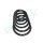 PROFLEX AUTOMOTIVE PX1-0895 Fahrwerksfeder