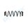 PROFLEX AUTOMOTIVE PX1-0962 Fahrwerksfeder