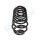 PROFLEX AUTOMOTIVE PX1-0226 Fahrwerksfeder