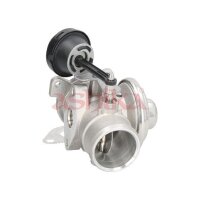ASHIKA 150-00-0900 AGR-Ventil